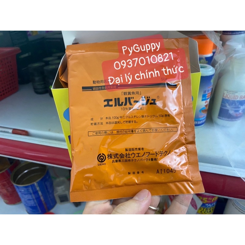 🐠 Elbagin - Tetra Nhật của JPD - Kháng sinh nhật