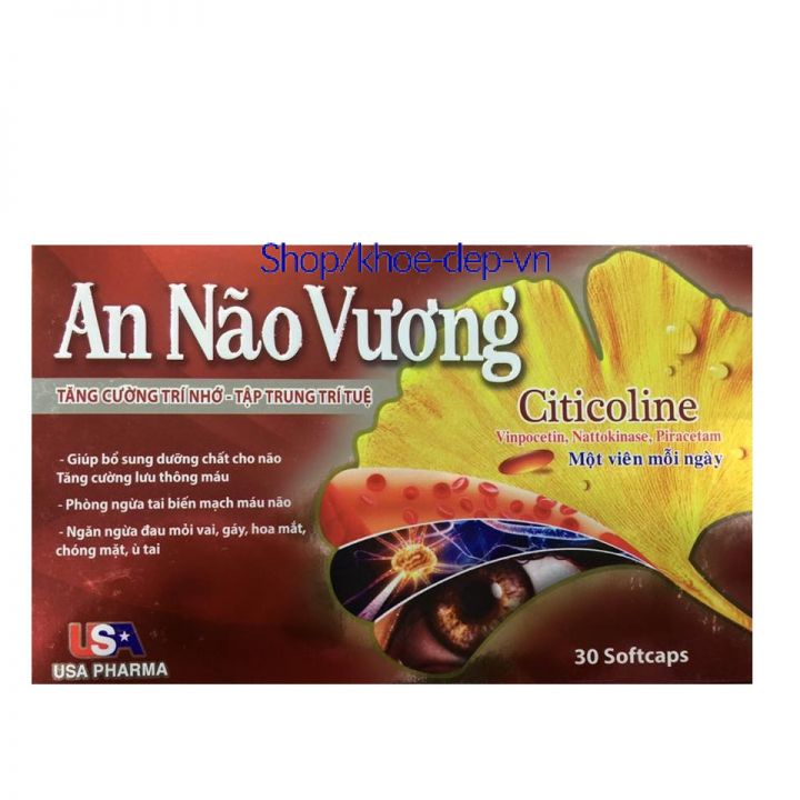 Viên bổ não An não vương giúp tăng cường trí nhớ, tăng tuần hoàn máu não, ngừa tai biến - hộp 30 viên