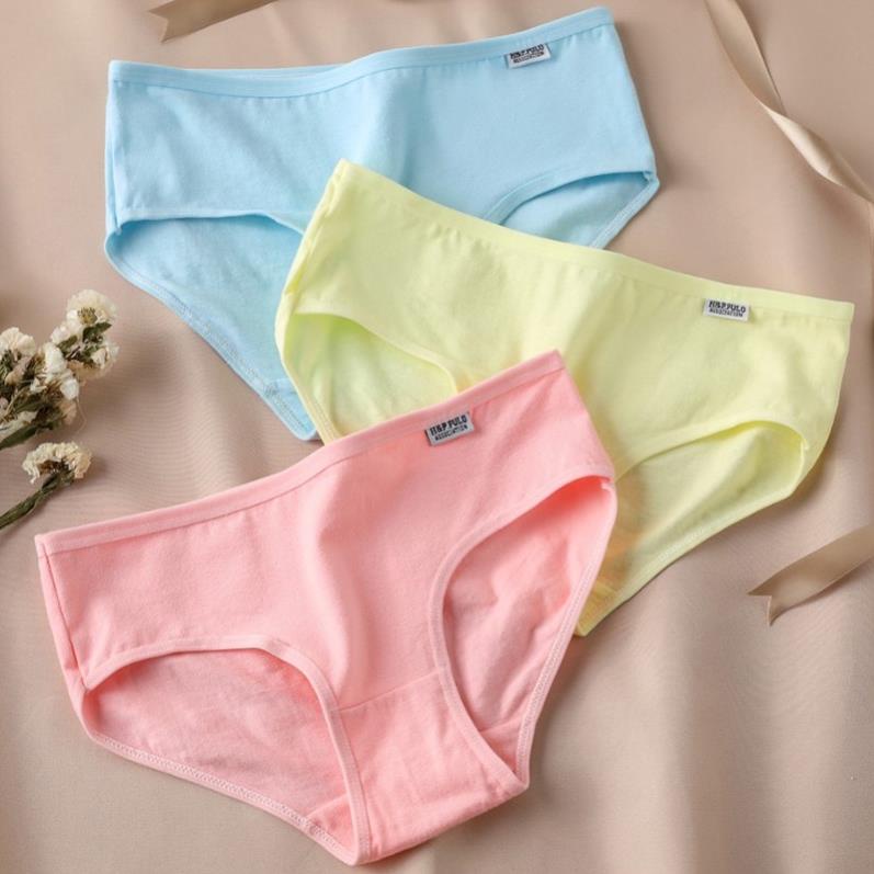 [Giá sỉ] Quần Lót Cotton Pulo Xuất Mỹ