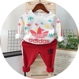 Combo bộ das 2020 size 7÷20kg