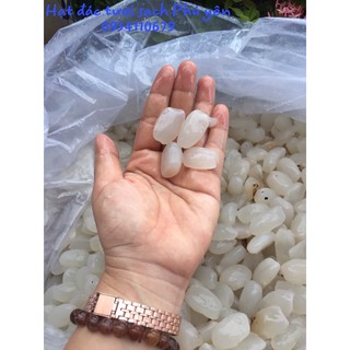 combo 5kg hạt đác tươi phú yên