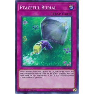Thẻ bài Yugioh - TCG - Peaceful Burial / CHIM-EN077'