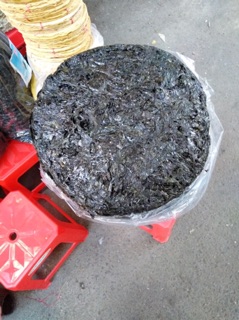 RONG BIỂN KHÔ BÌNH ĐỊNH