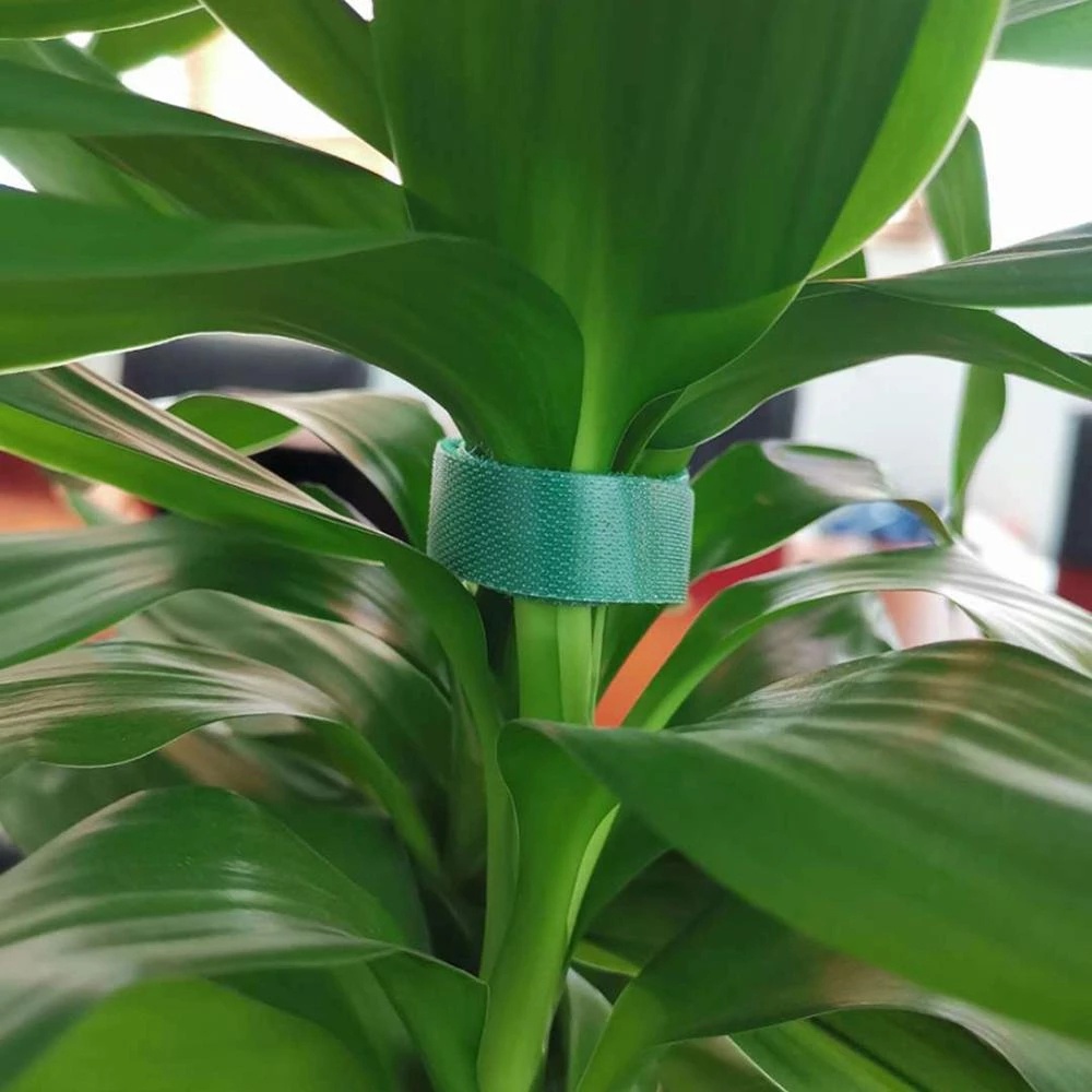 Băng Dán Hỗ Trợ Cây Trồng Đa Năng Chất Liệu Nylon