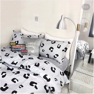 Bộ Chăn Ga Gối Cotton Poly set 4 món  nhập  khẩu  BÁO XÁM KẺ SỌC CUTE