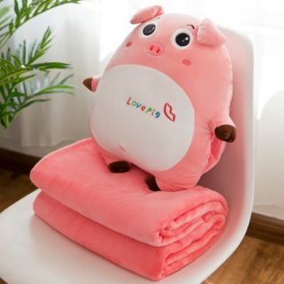 Gấu kèm chăn heo cảm xúc