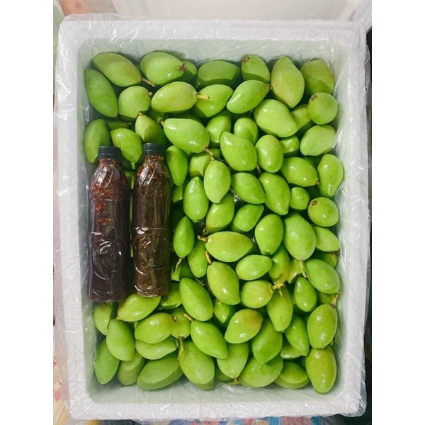 Nước Chấm Hoa Quả Thần Thánh❤️500ml❤️Sốt chấm Cóc Xoài bao tử siêu ngon❤️Hoả tốc Hà Nội❤️Sỉ các tỉnh từ 20c trở lên❤️