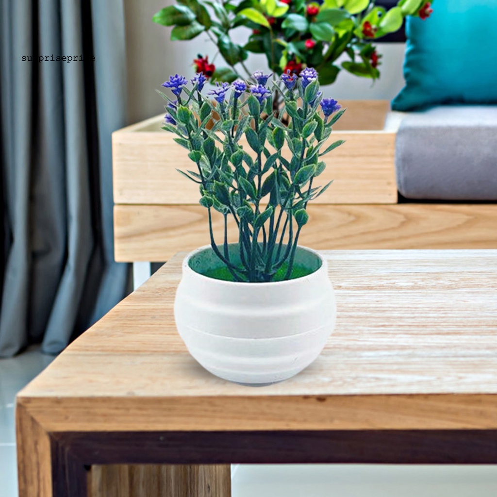 Cây Cảnh Giả Không Phai Màu Trang Trí Nhà Cửa