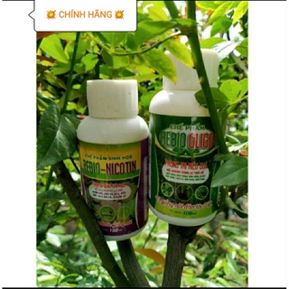 Combo nicotin + oligo trị các bệnh trên cây, hoa