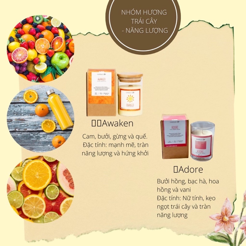 Nến thơm thiên nhiên Candle cup❤️FREESHIP Nến thơm Candle Cup thiên nhiên ( không khói - an toàn khi đốt)