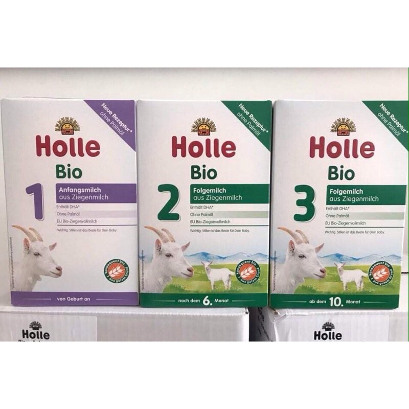 Combo Holle dê 1-2-3(6h)