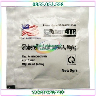 Viên sủi GA3 của Mỹ giúp ra đọt và lớn trái mít-mận-ổi-sầu riêng - bưởi - cây cảnh và các loại cây trồng khác