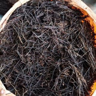 Dớn cộng trồng lan,cá thể trồng lan 150000/2kg