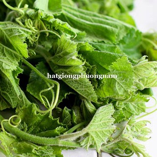 HẠT GIỐNG BÍ SIÊU NGỌN