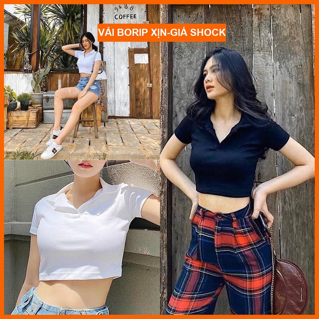 [JOSE10PTD GIẢM 10% TỐI ĐA10K ĐƠN TỐI THIỂU 700K] áo croptop nữ áo kiểu ngắn tay - áo croptop trễ vai tay ngắn form polo