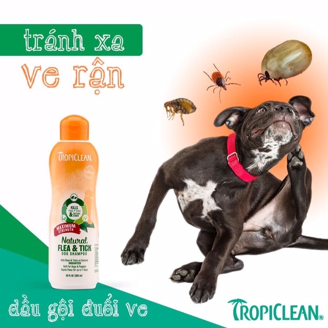 Sữa tắm thiên nhiên phòng và trị ve rận bọ chét cho Chó TropiClean Natural Kill Fleas Flea & Ticks 592ml