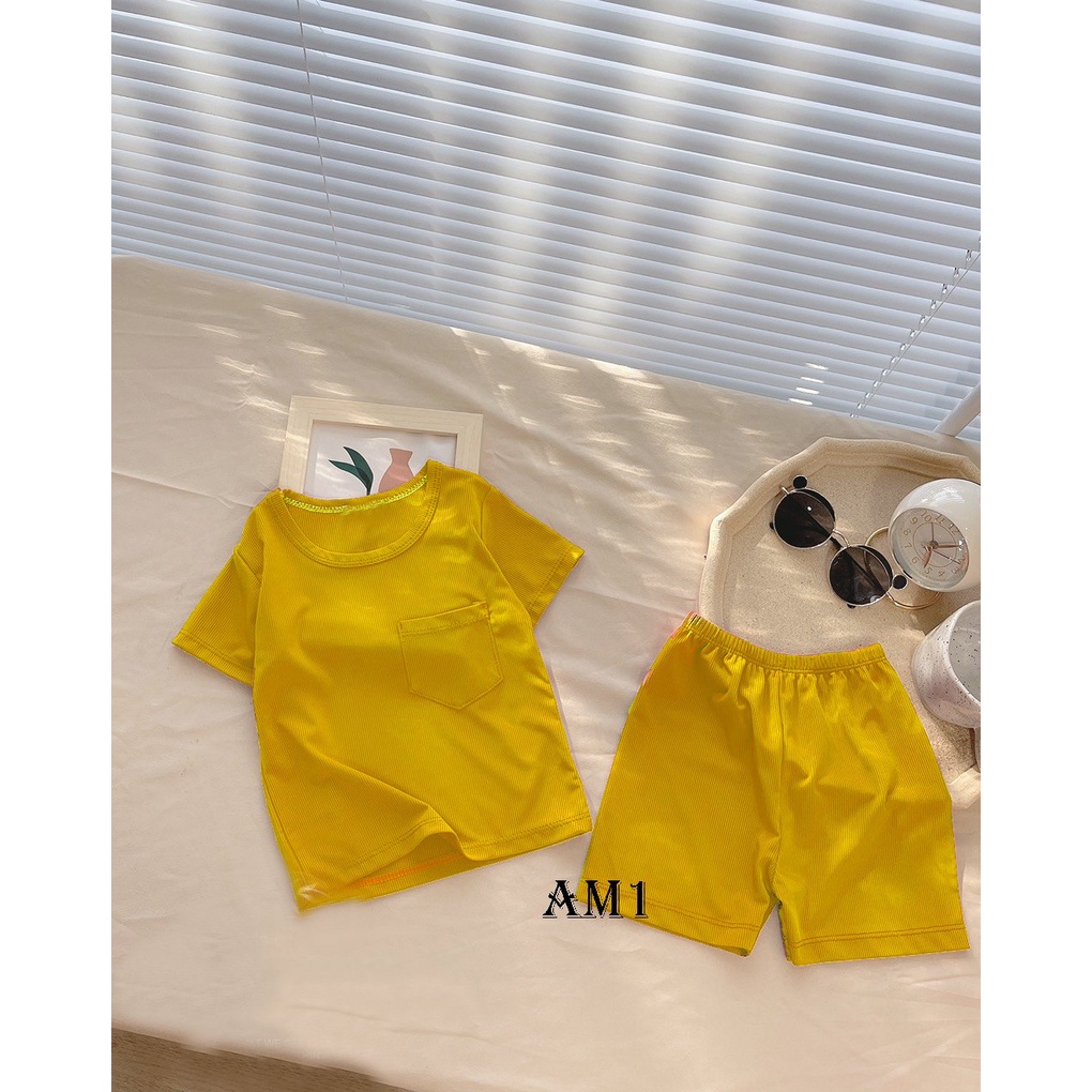 Đồ bộ bé sơ sinh tới 18kg - bộ quần áo trẻ em cộc tay AM950