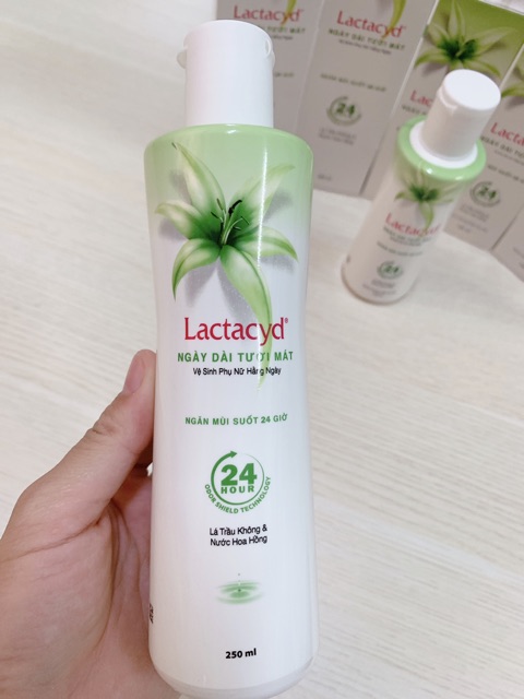 Dung Dịch Vệ Sinh Phụ Nữ Lactacyd 150ML/250Ml Lá Trầu Không - Nước Hoa Hồng