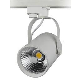 Rọi ray cob 20w