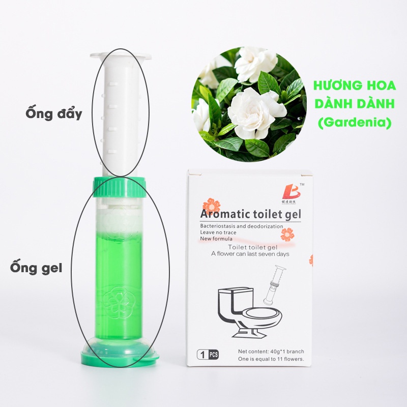 Gel Khử Mùi Bồn Cầu Toilet, Bồn Rửa Chén Bát, Lavabo - Gel Thơm Diệt Khuẩn, Khử Trùng Bồn Vệ Sinh Loại Có Hộp.