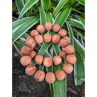 chuỗi hạt gỗ màu trầm 8 ly 10 ly 12 ly 14 ly 16 ly loại đẹp vòng lắc tay nam nữ ngọc am hương thơm tự nhiên