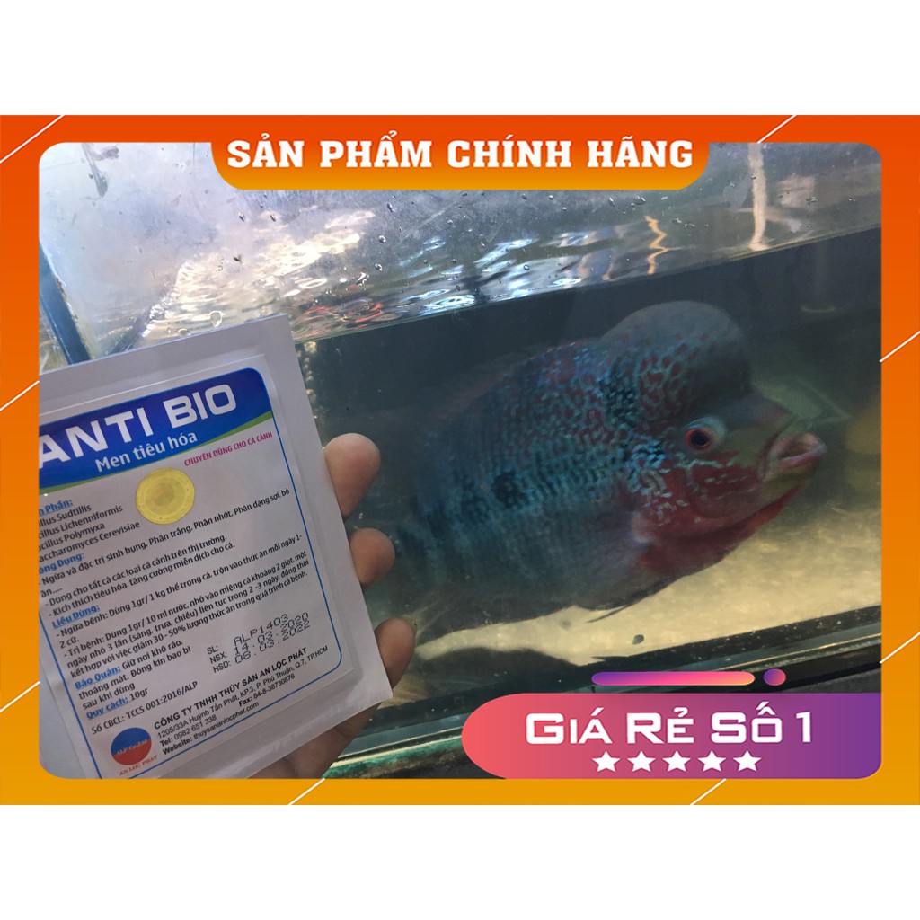 [Hàng chính hãng] Men tiêu hóa anti bio,dành cho cá cảnh gói 10g