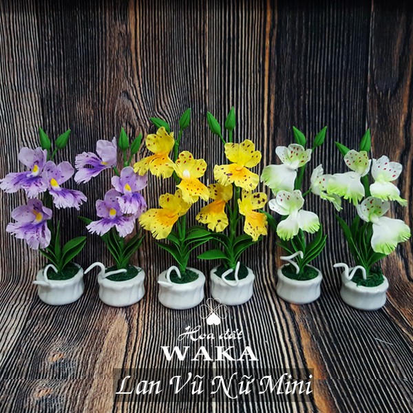 Hoa Đất Sét Mini- Lan Vũ Nữ