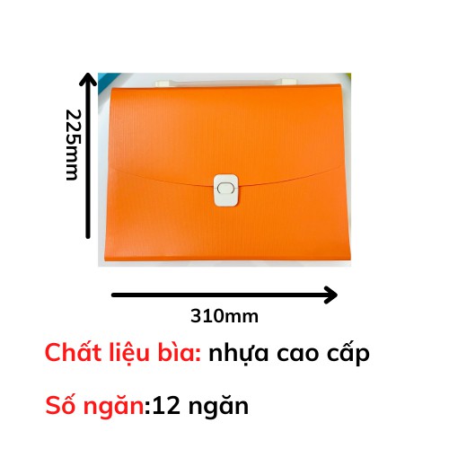 Cặp đựng tài liệu A4 Shuter - 12 ngăn phân trang - file lưu trữ tài liệu - nhiều màu sắc - V2447B