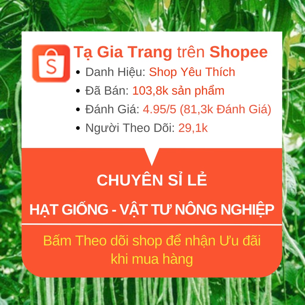 Hạt giống cần tây - Shop hạt giống Tạ Gia Trang