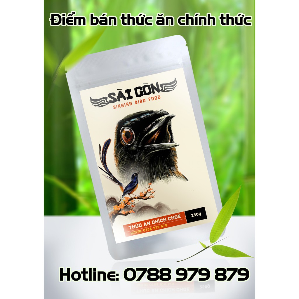 Cám chim Chích Chòe