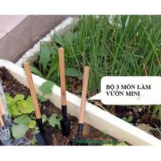 Bộ 3 Dụng Cụ Làm Vườn Mini Tiện Dụng