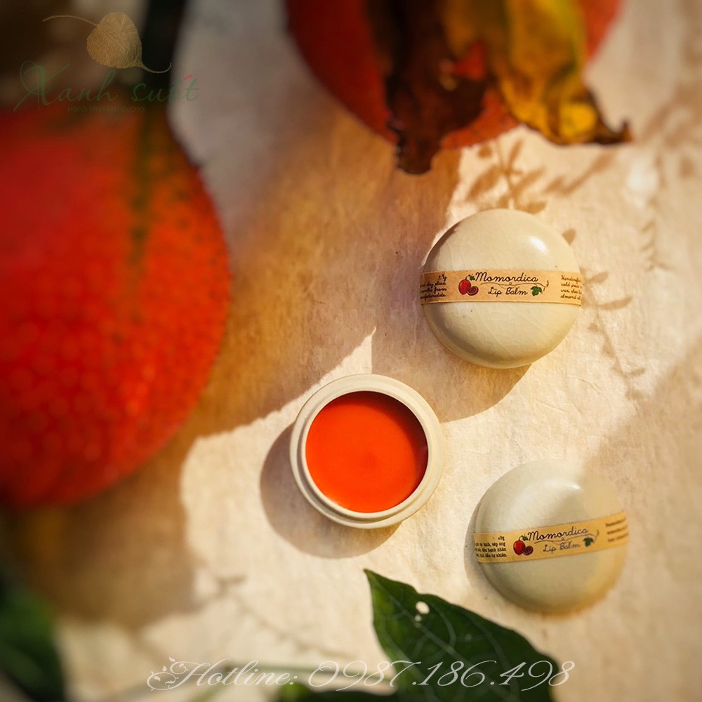 [Đồn Điền] Son Dưỡng Môi Gấc - Handmade Momordica Lip Balm [Xanh Suốt]