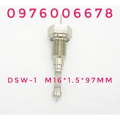 cảm biến DSW-1