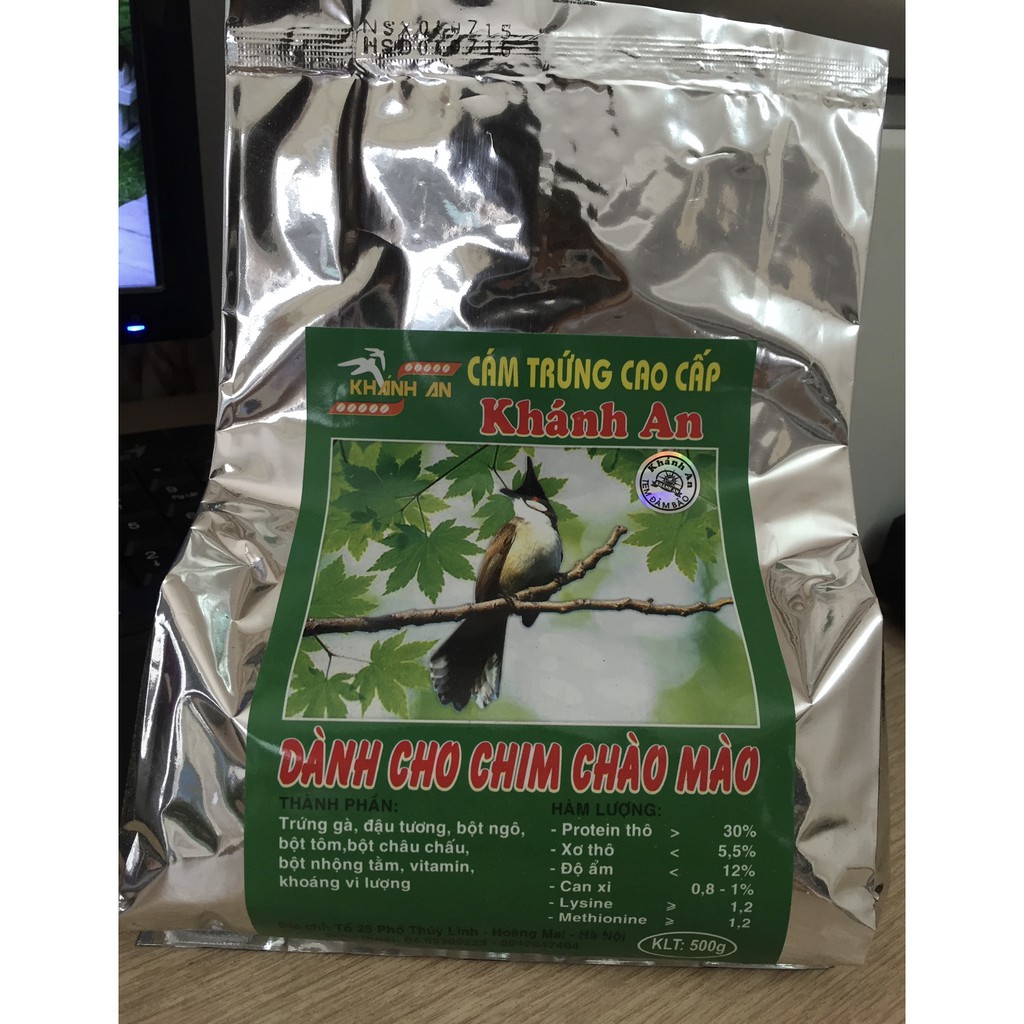 Cám chim chào mào Khánh An