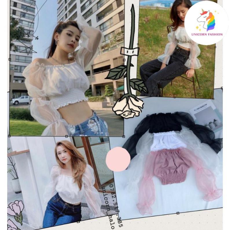 Áo Trễ Vai Voan Kiếng Nhún Croptop Hở Vai Tay Dài Phồng Bo Thun Nữ Xinh Như Hotgirl Chipu DRACR05 Mys Unicorn Fashion ❤️