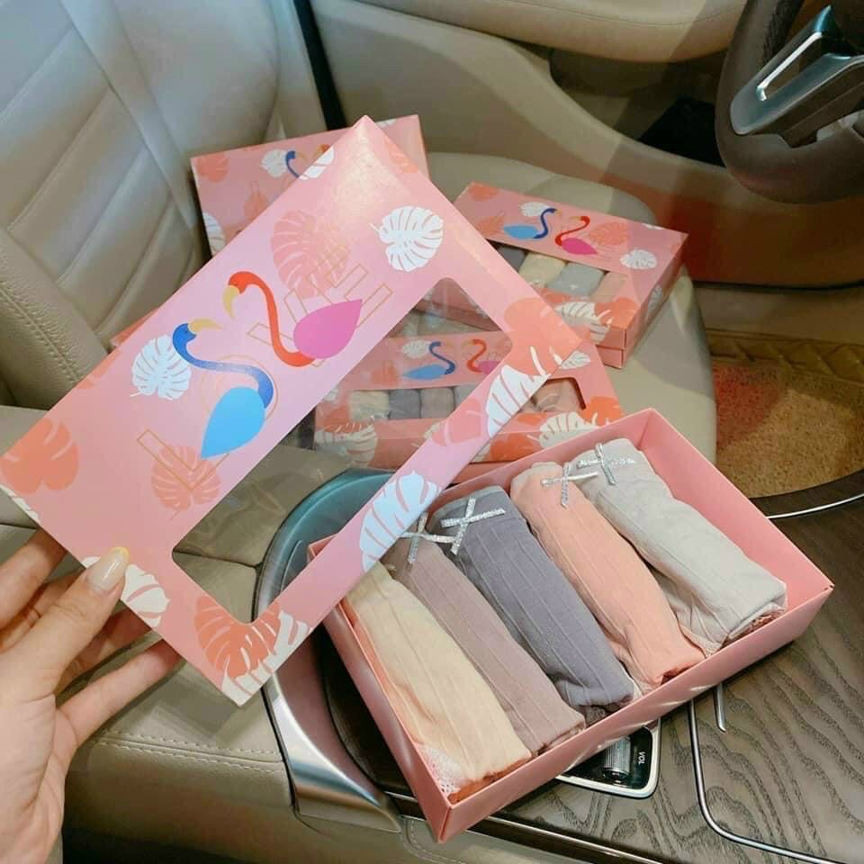Hộp 5 quần lót nữ thiên nga, quần chip nữ cute, cotton co giãn 4 chiều kháng khuẩn, ôm sát thoải mái.