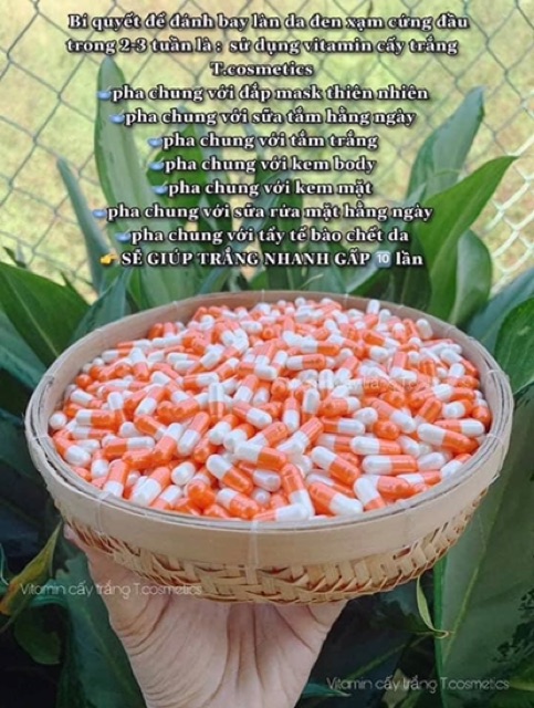 [RẺ VÔ ĐỊCH] 1 VIÊN CẤY TRẮNG DA , TRẮNG NHANH 4-5 LẦN KEM DƯỠNG BÌNH THƯỜNG | BigBuy360 - bigbuy360.vn