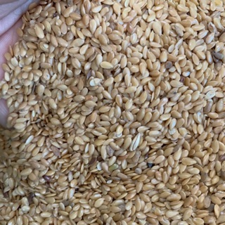 Hạt lanh vàng gói 500g và 1kg