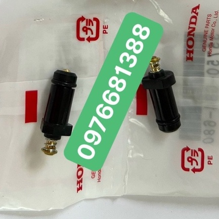 Báo số dream thái chính hãng