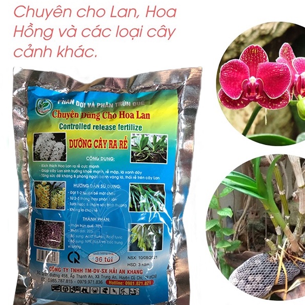 Phân Dơi và Trùn quế Dành Cho Hoa Lan - Kích Thích Ra Hoa và Dưỡng Cây Ra Rễ