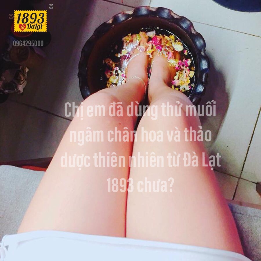 Muối ngâm chân hoa,thảo mộc, dầu dưỡng chân Đà Lạt 1893 thư giãn (3 lần dùng) | BigBuy360 - bigbuy360.vn