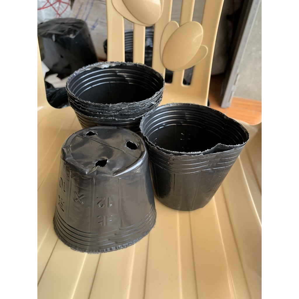 BẦU ƯƠM CÂY 12*10 ( DỊCH TRUYỀN CHO CÂY, KÍCH RỄ , MẦM CÂY XANH LÁ, LƯỚI CHE NẮNG...)