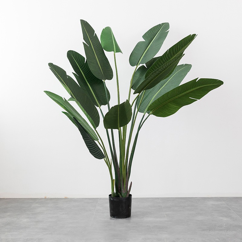 Cây chuối giả trang trí bằn nhựa - 200cm - Jassi Decor