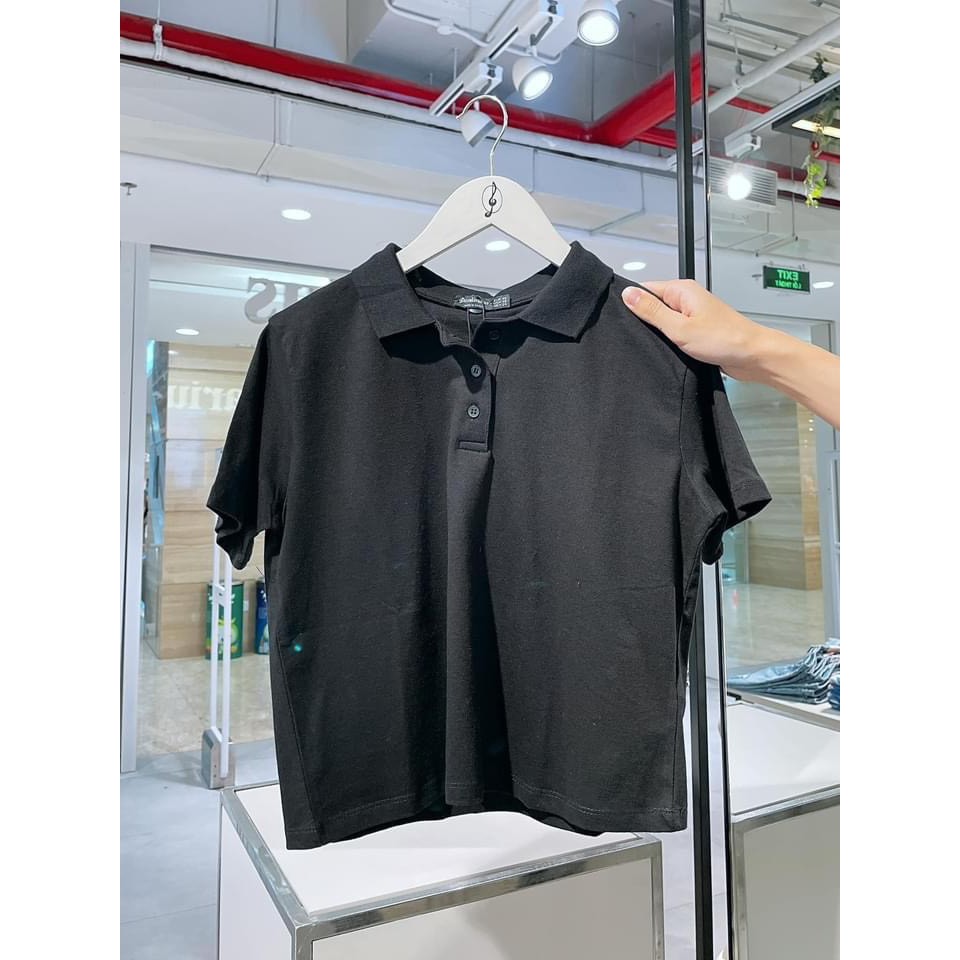 AN13 - ÁO POLO CỔ BẺ ZZ 3 MÀU HOT HIT NỮ | BigBuy360 - bigbuy360.vn