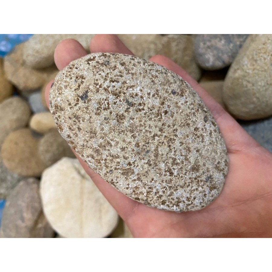 Đá kì tắm Tự nhiên đá tẩy tế bào chết 100% đá suối