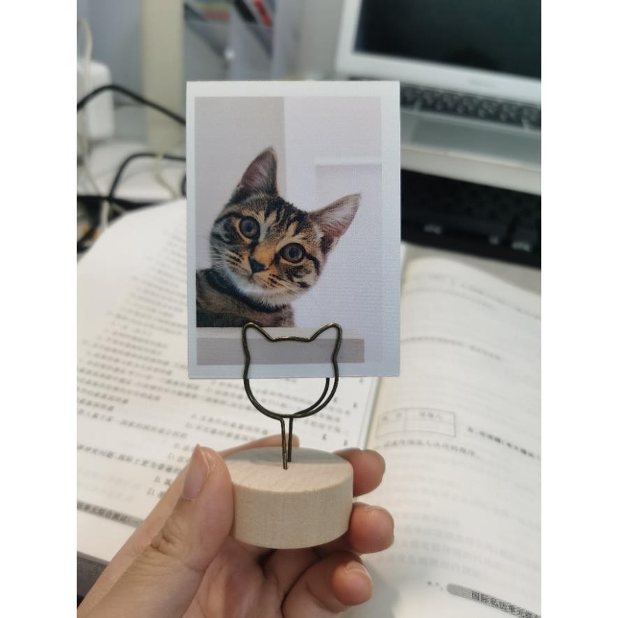 Đế gỗ đựng card, ghi chú GALANO giá đỡ để card visit, ghi chú, ảnh trang trí văn phòng phẩm đa năng SD-001353