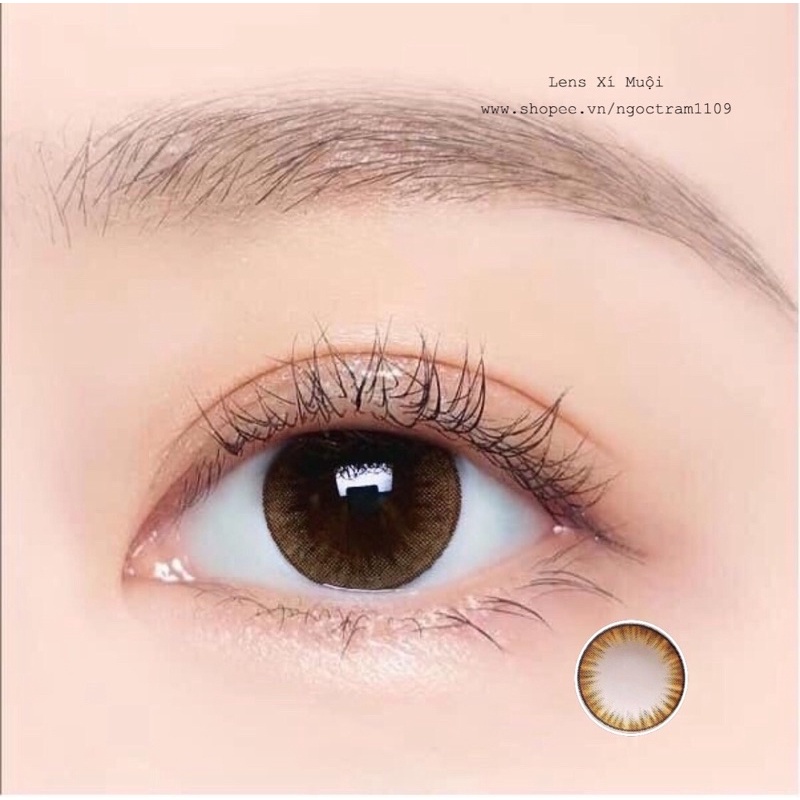 Lens nâu Lilly giãn nhẹ 0 độ và có độ