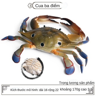 ☢Mô phỏng Con cua Mô hình Sinh vật biển Hermit Crab King Crab Sally Crab Portunus Crab Quà tặng đồ chơi động vật cho trẻ