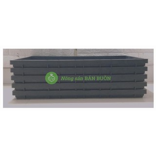 5 Khay Mạ ToKai Nhật Bản, Khay Gieo Mạ, Khay Trồng Rau Mầm, Khay Ươm Mầm, Khay Đa Năng, Kích Thước: 60x31Cm