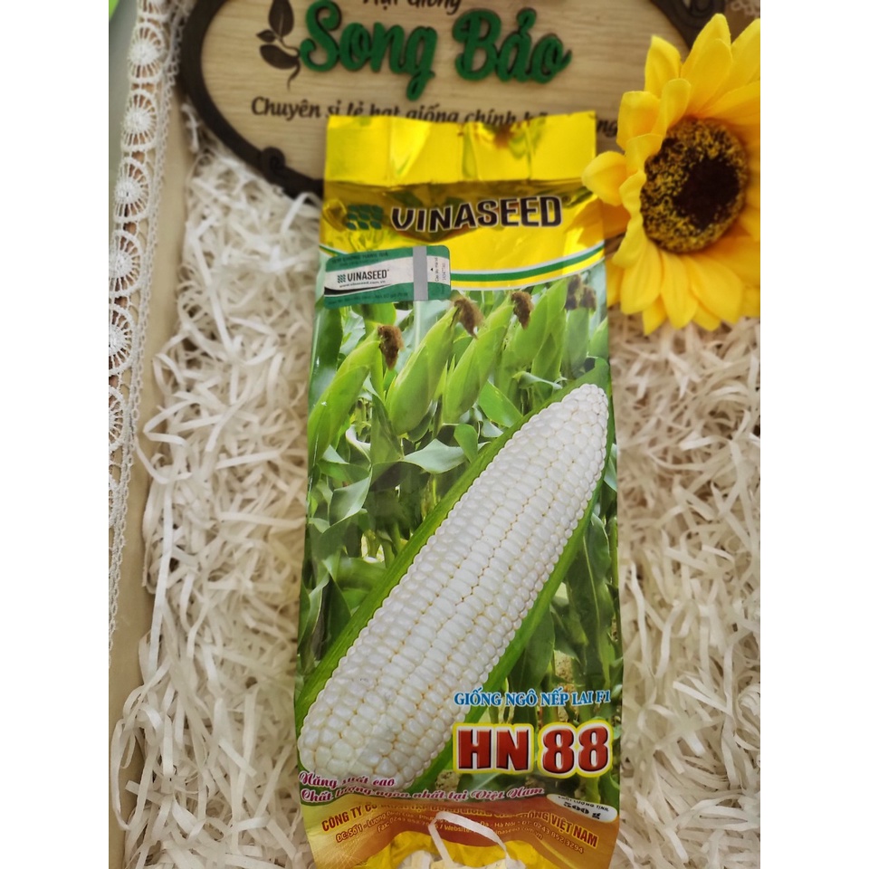 Hạt giống ngô nếp lai F1 HN 88 gói 500g Vinaseed